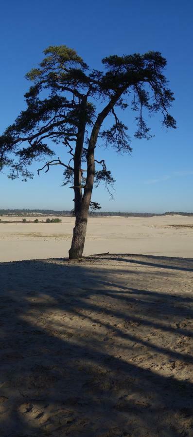 B&B Achterom Loon op Zand Экстерьер фото
